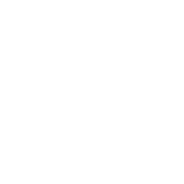 IFES_logo_round_ua_white